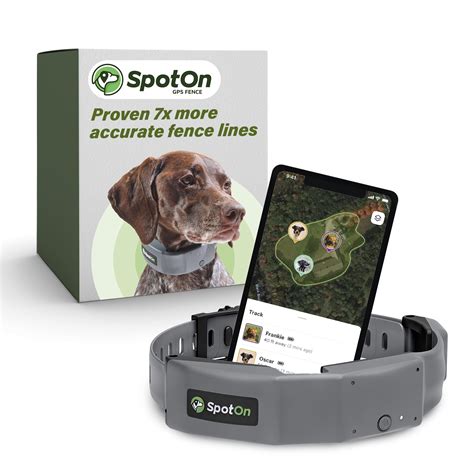 GPS Dog Fence Battery Life and Charging: Your 2025 Guide