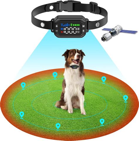 GPS Dog Fence for Pet Owners in 2025: Control Unleashed