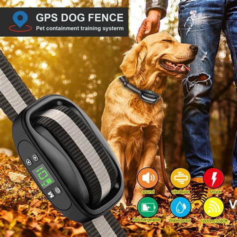 GPS Dog Fence for Pet Training: Ultimate Guide 2025