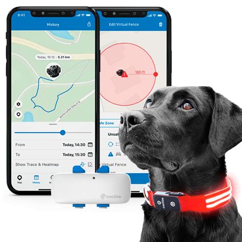 GPS-Powered Dog Tracking Devices: Unlocking Peace of Mind in 2025