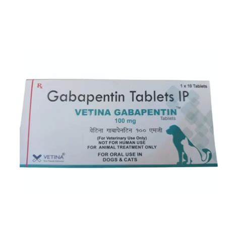 Gabapentin 100mg: The Ultimate Guide for Dogs