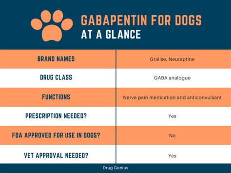 Gabapentin Dose for Dogs: A Comprehensive Guide to Safe and Effective Pain Management