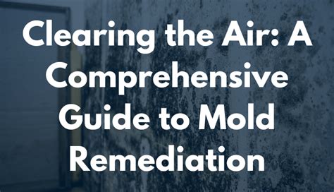 Gaia Building Mold: A Comprehensive Guide to Detection, Prevention, and Remediation