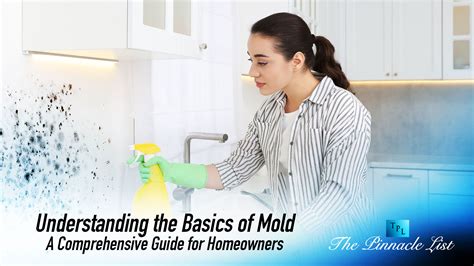 Gaia Building Mold: A Comprehensive Guide to Understanding and Addressing the Problem