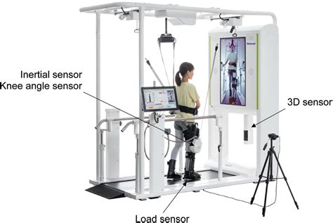 GaitX: A Novel Approach to Gait Analysis