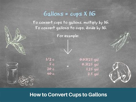 Gal to Cups: A Comprehensive Conversion Guide