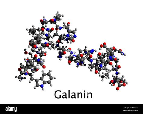 Galanin Reader