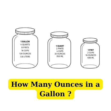 Gallon to Fl. Oz.: A Comprehensive Guide for Accurate Conversions