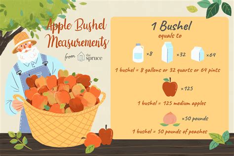 Gallons in a Bushel: A Comprehensive Guide to Measuring Dry Commodities