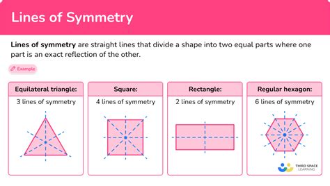 Galoes: The Mathematics of Symmetry