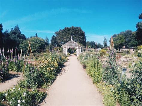 Gamble Gardens: A Guide to the Enchanting Oasis in Palo Alto