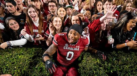 Gamecock Football Boards: A Comprehensive Guide for Fans