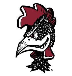 Gamecocks Apparel: A Symbol of Pride