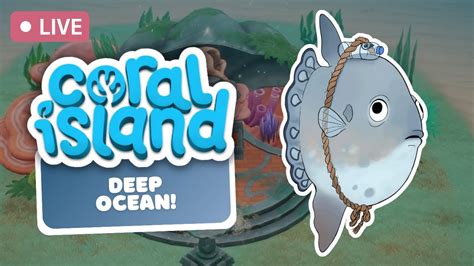 Gameplay Mechanics: A Dive into the Coral Depths