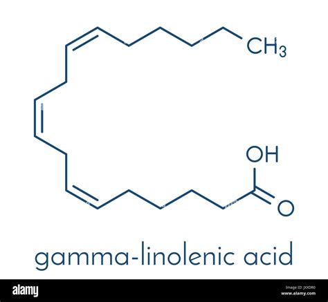 Gamma-linolenic acid (GLA):