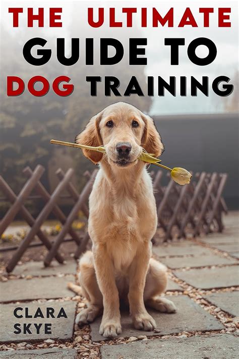 Gangsta Nicolas: The Ultimate Guide to Dog Training