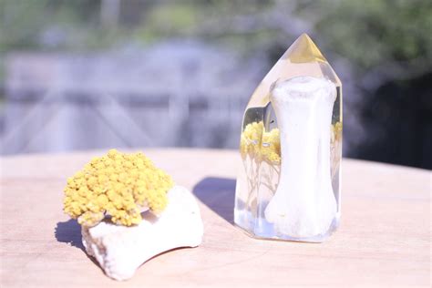 Garden Quartz: The Enchanting Crystal That Fosters Growth and Abundance