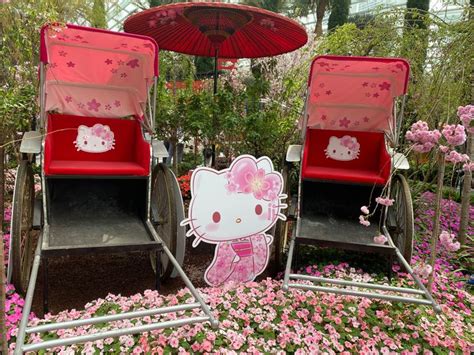 Garden by the Bay Hello Kitty: A Purr-fect Oasis