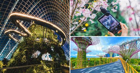 Garden by the Bay Membership Promotion: Unlock a Year of Unlimited Visits!