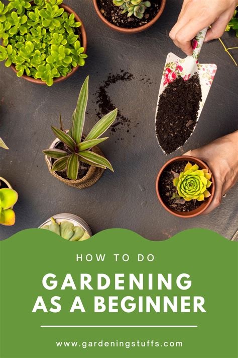 Gardening For Beginners Have The Best Garden in The World with These Tips Kindle Editon