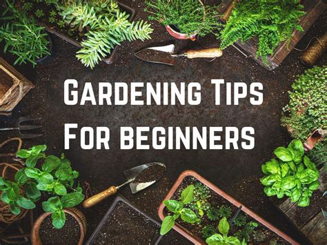 Gardening For Beginners Have The Best Garden in The World with These Tips Kindle Editon