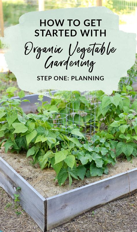 Gardening How to Get Started With Your Own Organic Vegetable Garden PDF