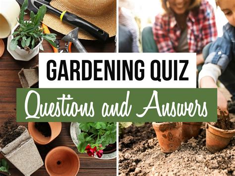 Gardening Questions And Answers Epub