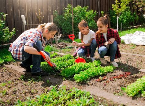 Gardening for Young People Epub