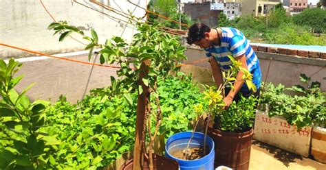 Gardening in India Doc