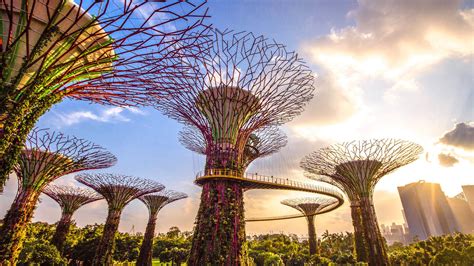 Gardens By The Bay Entry Fees: Ultimate Guide