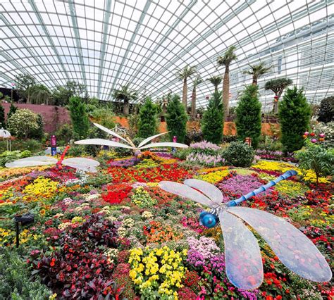 Gardens by the Bay's Flower Dome: A Floral Haven in Singapore