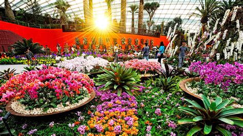 Gardens by the Bay's Flower Field Hall: A Floral Haven in the Heart of Singapore