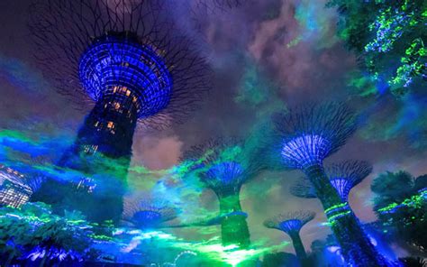 Gardens by the Bay's Northern Lights 3D Spectacular: A Captivating Luminary Odyssey