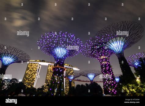 Gardens by the Bay: A 101-Acre Paradise