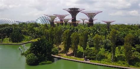 Gardens by the Bay: A Botanical Wonderland