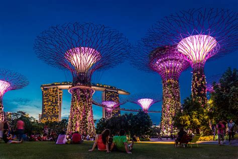 Gardens by the Bay: A Futuristic Urban Oasis for 2025