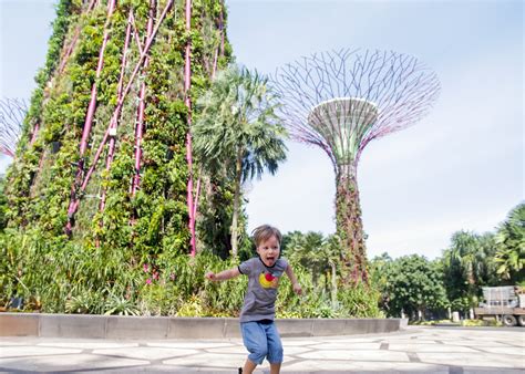 Gardens by the Bay Children's Garden: 2025 Vision VS Reality