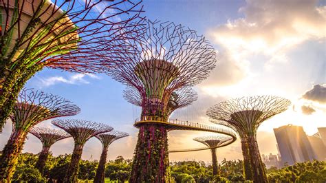 Gardens by the Bay Chinese Name: A Guide to the Supertree Grove