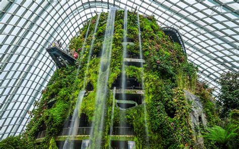 Gardens by the Bay Cloud Forest Opening Hours: A Complete Guide