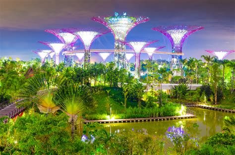 Gardens by the Bay Events: 12 Unforgettable Experiences