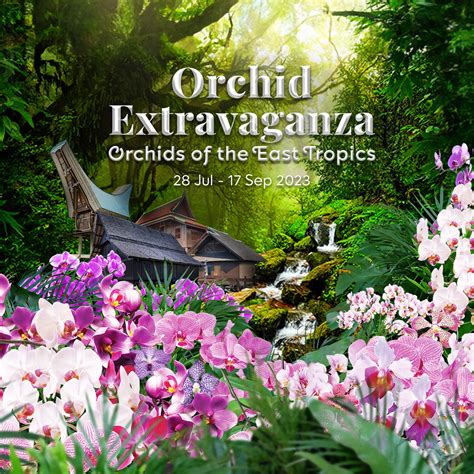 Gardens by the Bay Events: 2023's Unmissable Extravaganzas