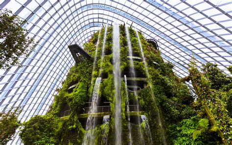 Gardens by the Bay Flower Dome Opening Hours: Unveil the Enchanting World