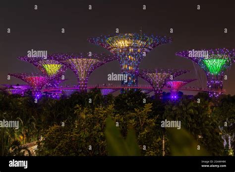 Gardens by the Bay Light Show: A Symphony of Lights and Nature