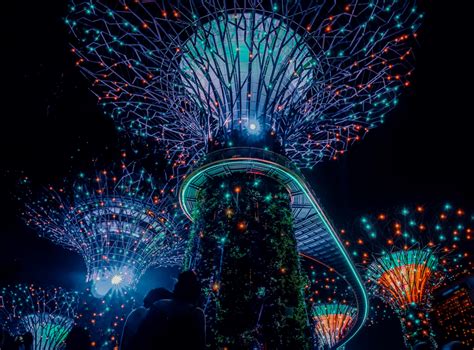 Gardens by the Bay Membership: Explore 101 Reasons to Join!