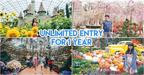 Gardens by the Bay Membership: Unlock 10+ Exclusive Perks for Nature Enthusiasts