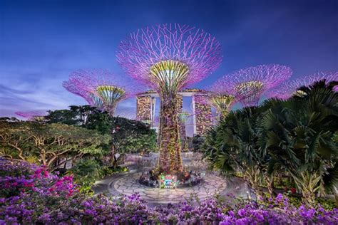 Gardens by the Bay Neon Jungle 2019: A Luminous Spectacle