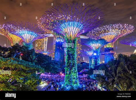 Gardens by the Bay Night Show: A Symphony of Lights and Sound