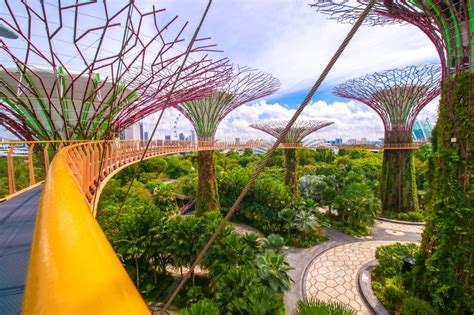 Gardens by the Bay OCBC Promotion: Get Ready for a Bloosoming Good Time!