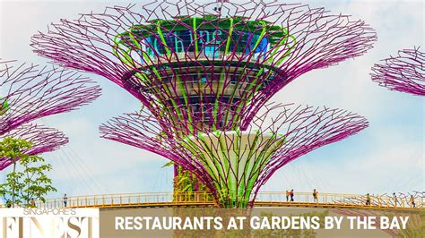 Gardens by the Bay Restaurant on Top: 5000 Ft. Above the Sky