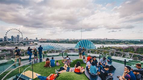 Gardens by the Bay Supertree Observatory: A Sky-High Adventure